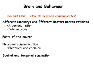Second Hour – How do neurons communicate?