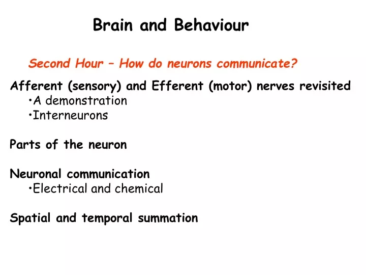 brain and behaviour