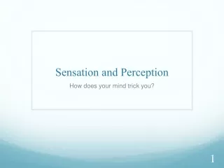 Sensation and Perception