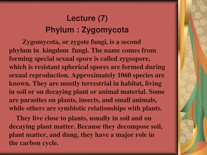 lecture 7 phylum zygomycota zygomycota or zygote