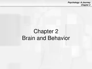Chapter 2 Brain and Behavior