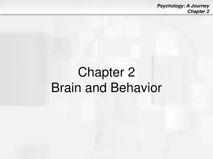 chapter 2 brain and behavior