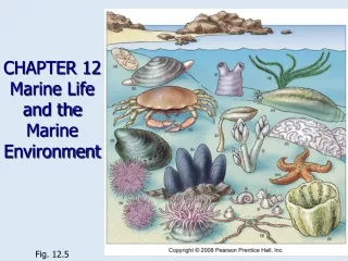 CHAPTER 12  Marine Life and the Marine Environment