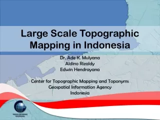 Large Scale Topographic Mapping in Indonesia