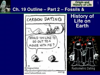 Ch. 19 Outline – Part 2 – Fossils &amp;