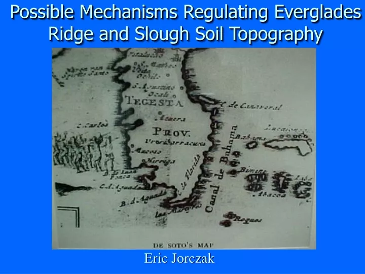 possible mechanisms regulating everglades ridge and slough soil topography