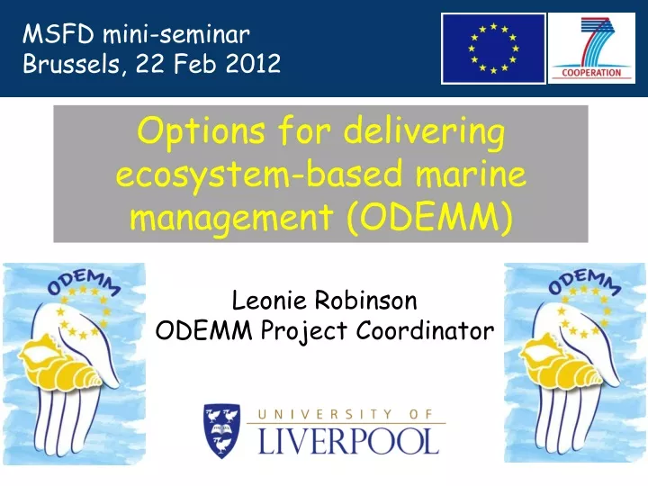 options for delivering ecosystem based marine