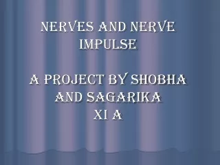 NERVES AND NERVE IMPULSE A project by Shobha and Sagarika XI A