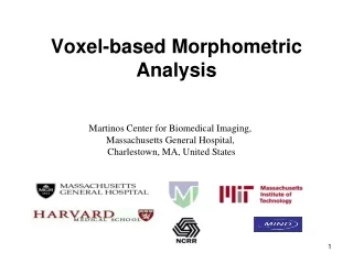 Voxel-based Morphometric Analysis
