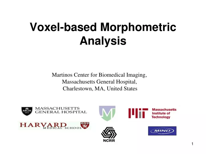 voxel based morphometric analysis