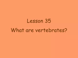 Lesson 35 What are vertebrates?