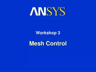 Mesh Control