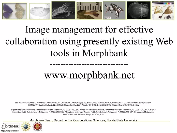 image management for effective collaboration