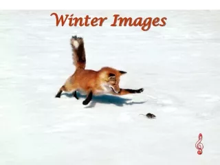 Winter Images