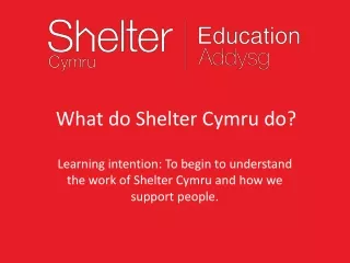 What do Shelter Cymru do?