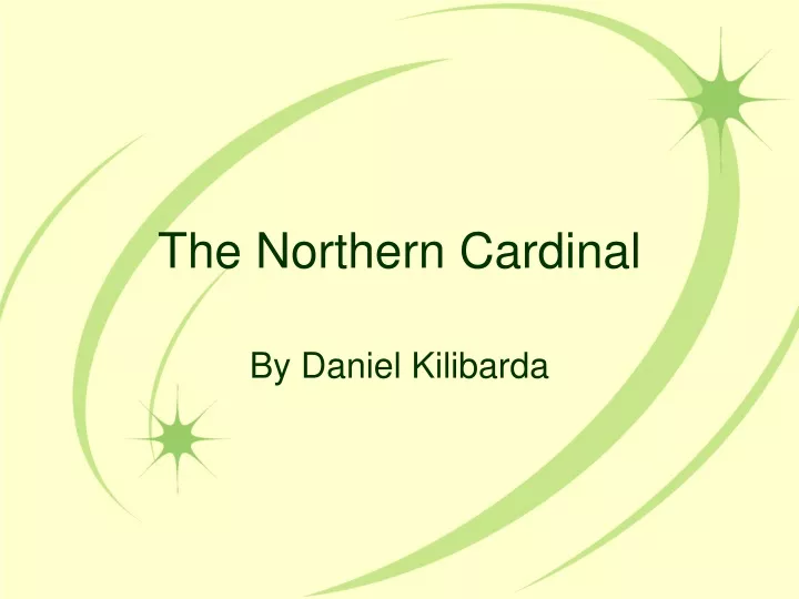 the northern cardinal