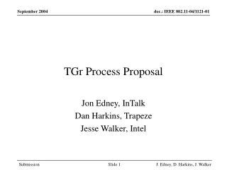 TGr Process Proposal