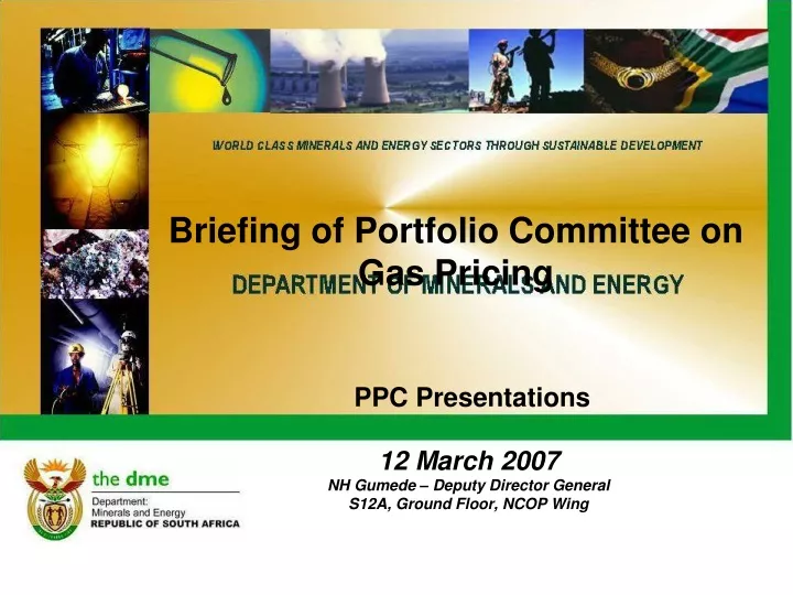 briefing of portfolio committee on gas pricing