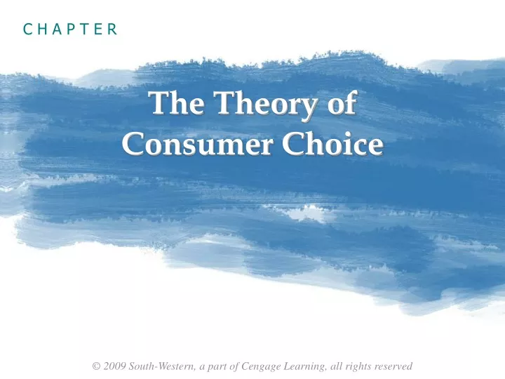 the theory of consumer choice