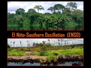 El Niño-Southern Oscillation  (ENSO)