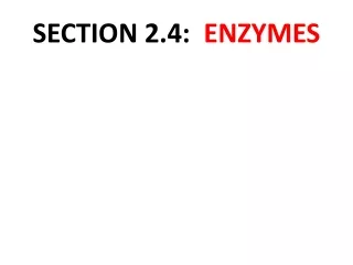 SECTION 2.4:   ENZYMES