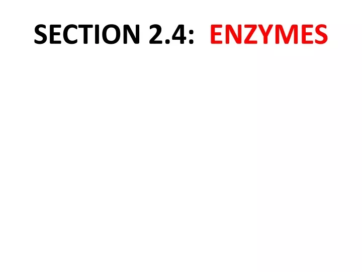 section 2 4 enzymes