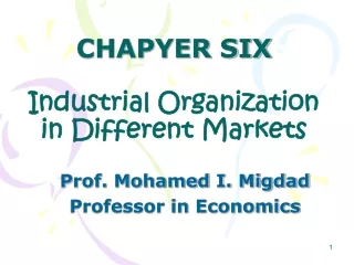 CHAPYER SIX Industrial Organization in Different  Markets