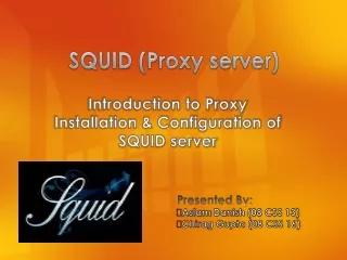 SQUID (Proxy server)
