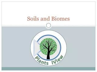 Soils and Biomes