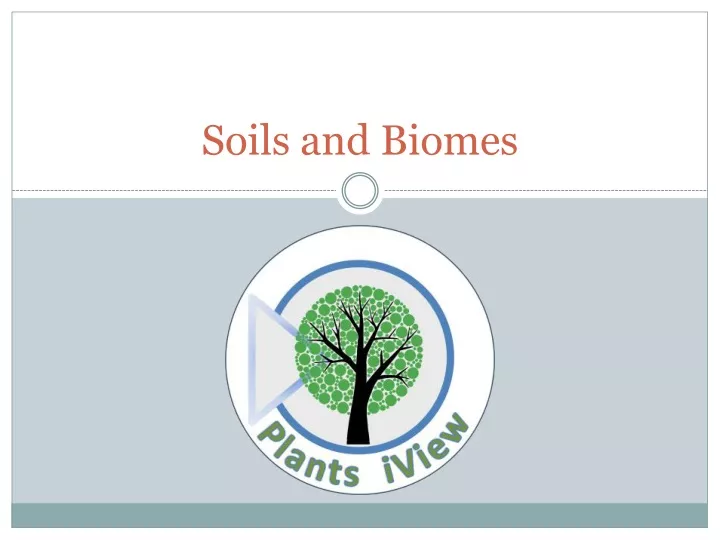 soils and biomes