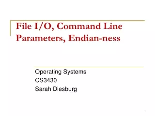 File I/O, Command Line Parameters, Endian-ness