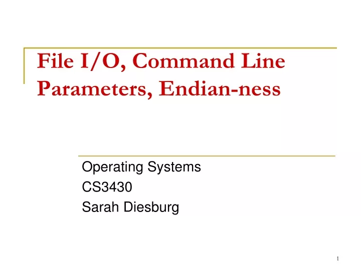 file i o command line parameters endian ness