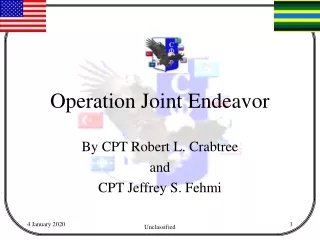 Operation Joint Endeavor