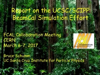 Report on the UCSC/SCIPP BeamCal Simulation Effort FCAL Collaboration Meeting CERN March 6-7, 2017