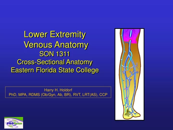 lower extremity venous anatomy son 1311 cross sectional anatomy eastern florida state college