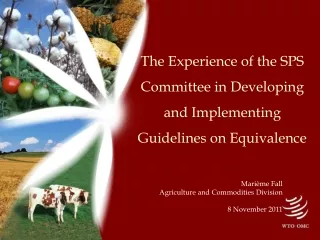 The Experience of the SPS Committee in Developing  and Implementing  Guidelines on Equivalence