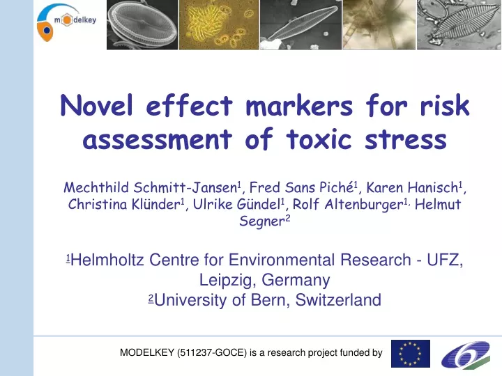 novel effect markers for risk assessment of toxic