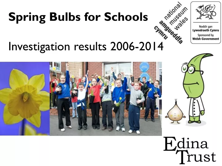 spring bulbs for schools investigation results 2006 2014