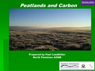 Peatlands and Carbon
