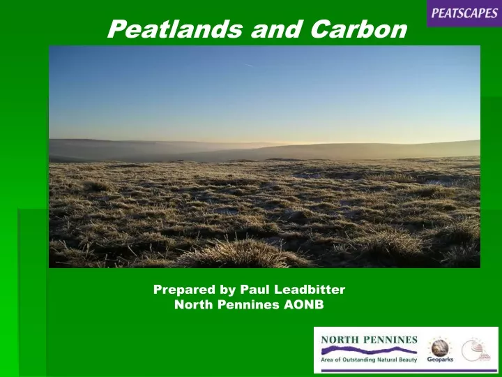 peatlands and carbon