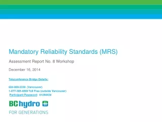 Mandatory Reliability Standards (MRS)