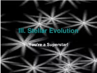 III. Stellar Evolution