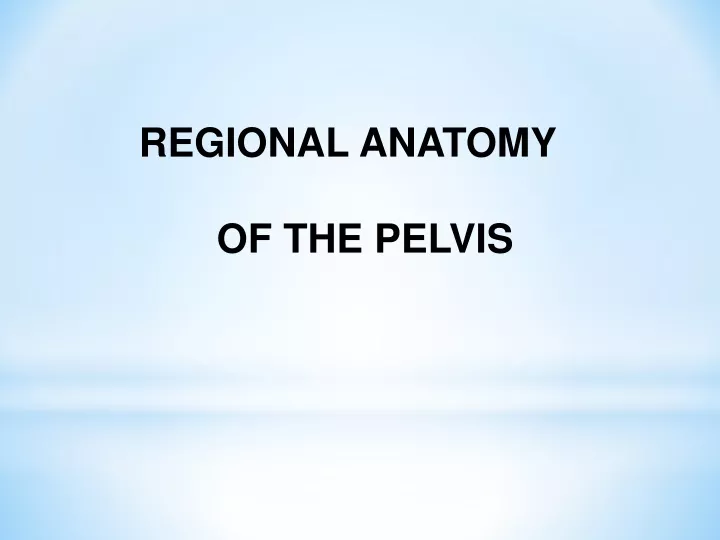 regional anatomy of the pelvis