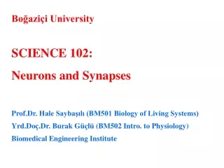 Boğaziçi University SCIENCE 102 : Neurons and Synapses