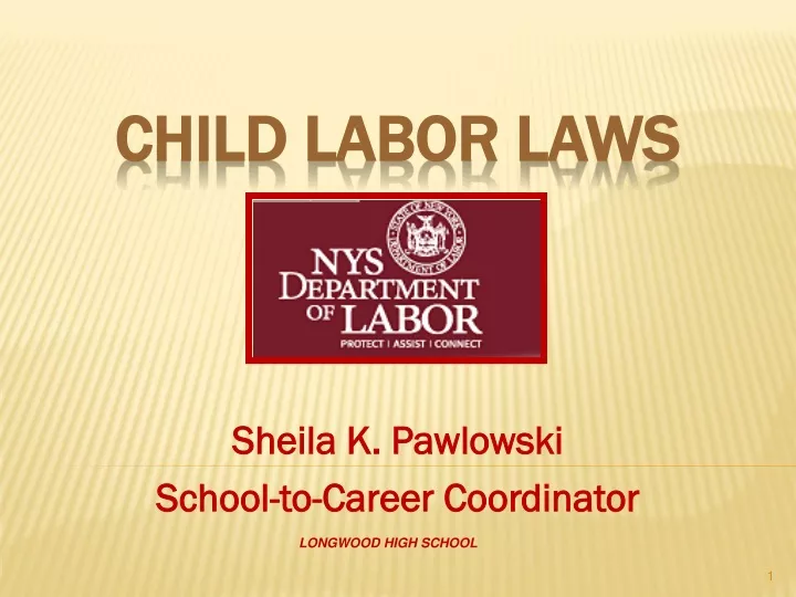 sheila k pawlowski school to career coordinator