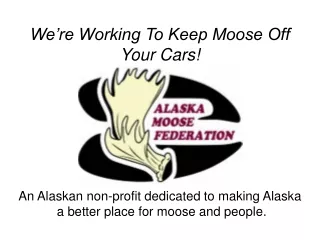 We’re Working To Keep Moose Off Your Cars!