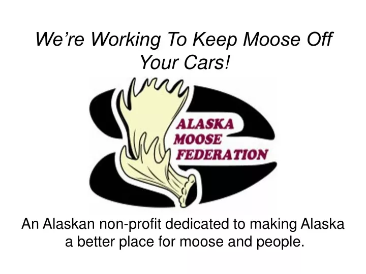 we re working to keep moose off your cars