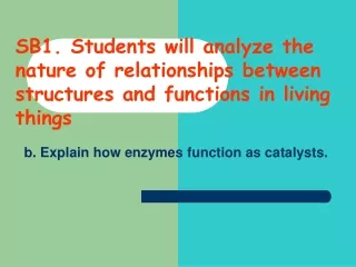 b. Explain how enzymes function as catalysts.