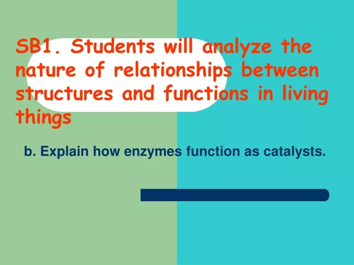 b explain how enzymes function as catalysts