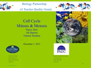 Cell Cycle Mitosis &amp; Meiosis  Nancy Dow Jill Hansen Tammy Stundon  December 1, 2012